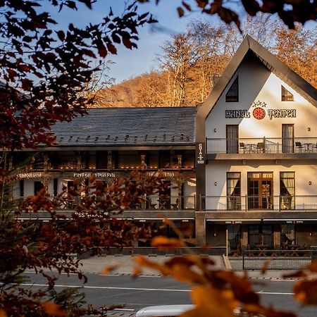 Hotel Hanul Tentea-Pasul Gutai Baia Sprie Exterior foto